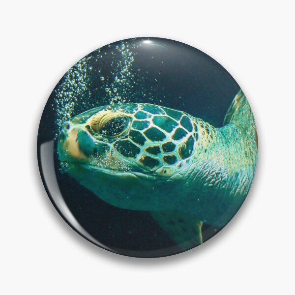 Item preview, Green sea turtle designed and sold by Drahmed.