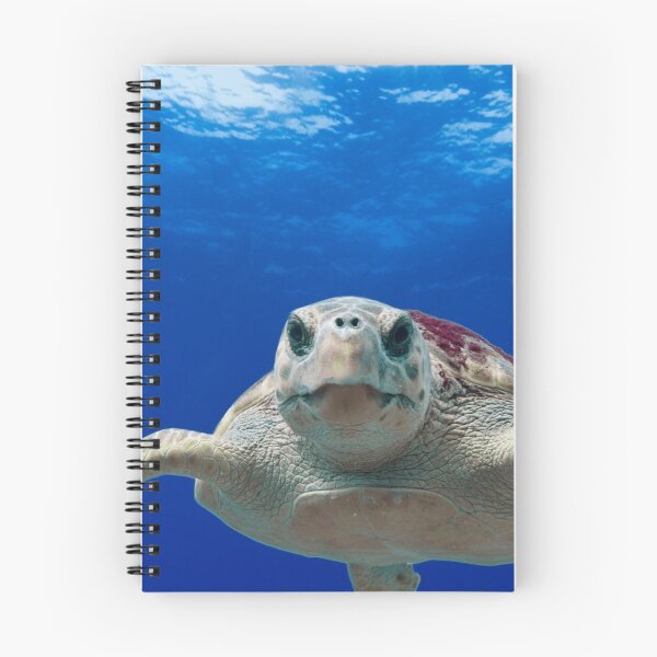 Item preview, Copy of Green sea turtle designed and sold by Drahmed.