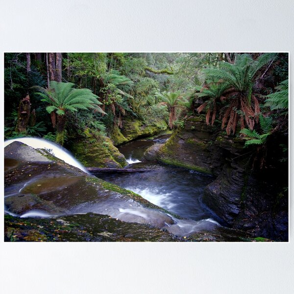 Item preview, Liffey Falls, Tasmania, Australia designed and sold by Cameron Gray.