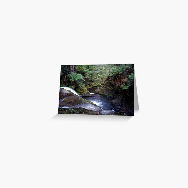 Liffey Falls, Tasmania, Australia Greeting Card