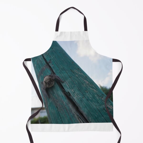 Item preview, bat study designed and sold by distracted.
