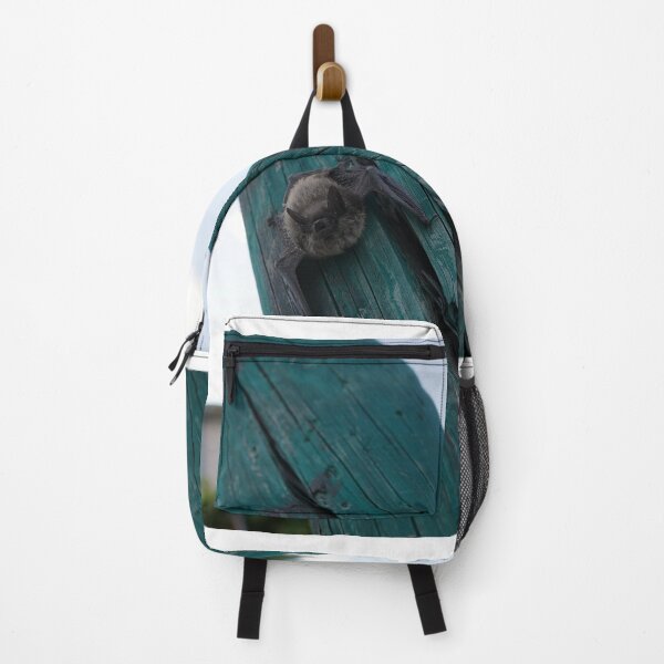 Item preview, bat study designed and sold by distracted.