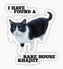 Rare House Khajiit Sticker