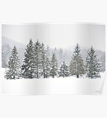 Omega...and the absence of wildlife Poster
