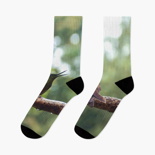 Item preview, The hummingbird discussion designed and sold by The Iconic Minimalist.