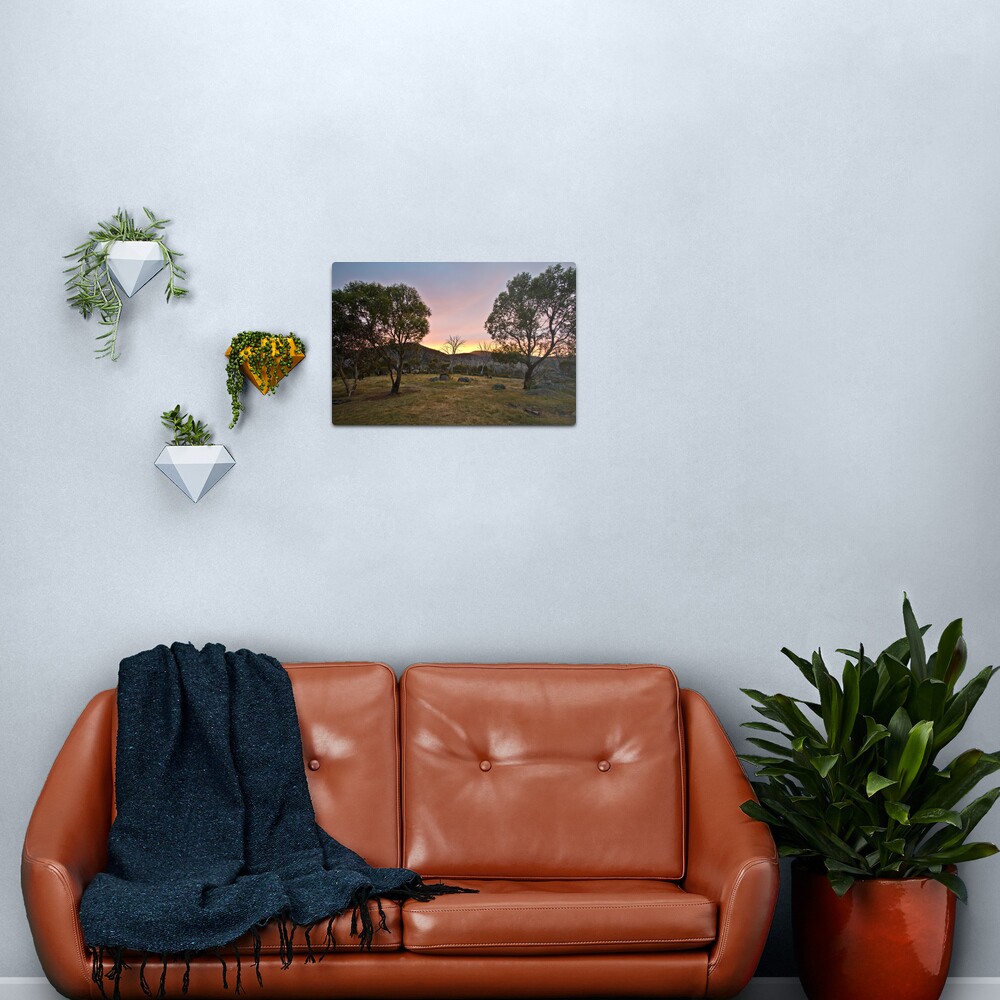 Morning Metal Print