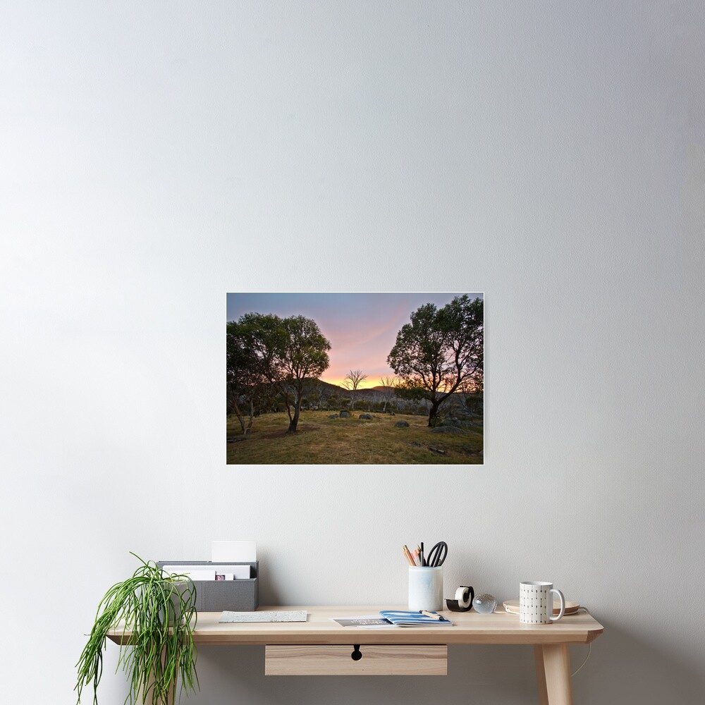 Morning Poster