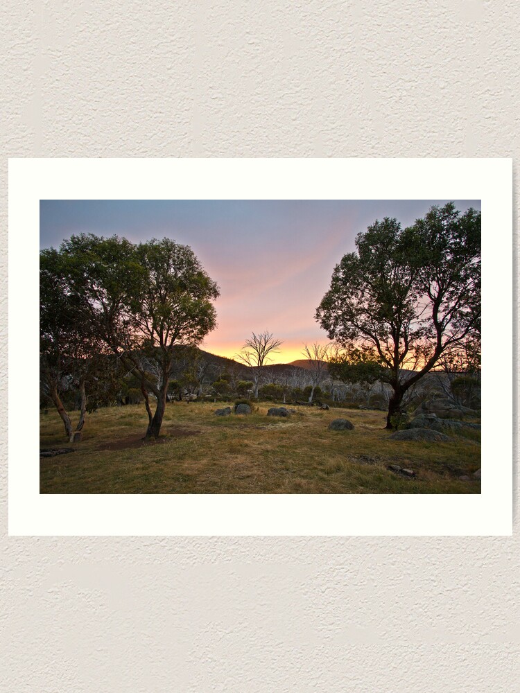 Alternate view of Morning Art Print