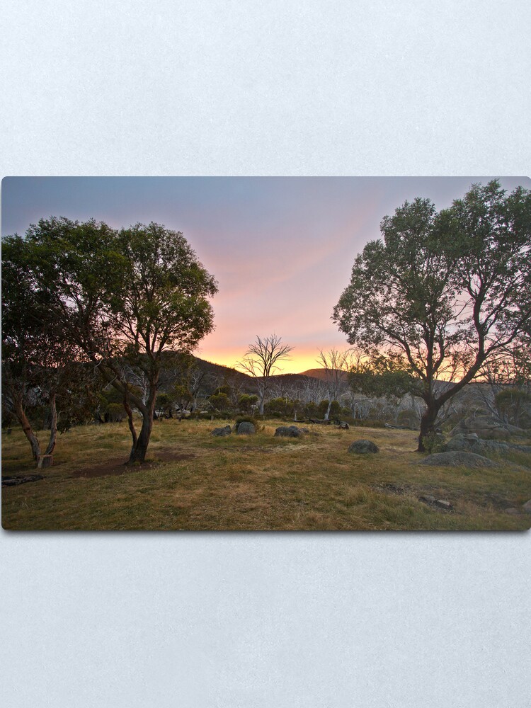 Alternate view of Morning Metal Print