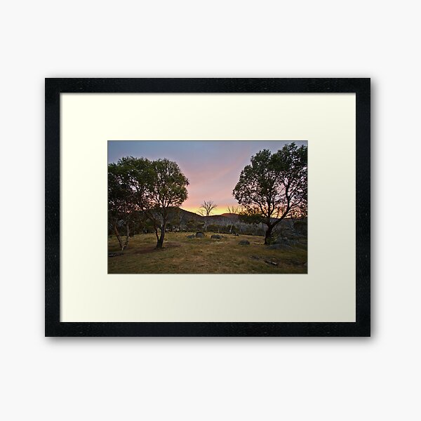 Morning Framed Art Print