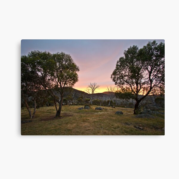 Morning Canvas Print