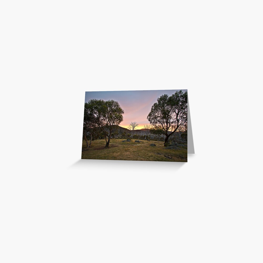 Morning Greeting Card