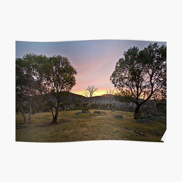 Morning Poster