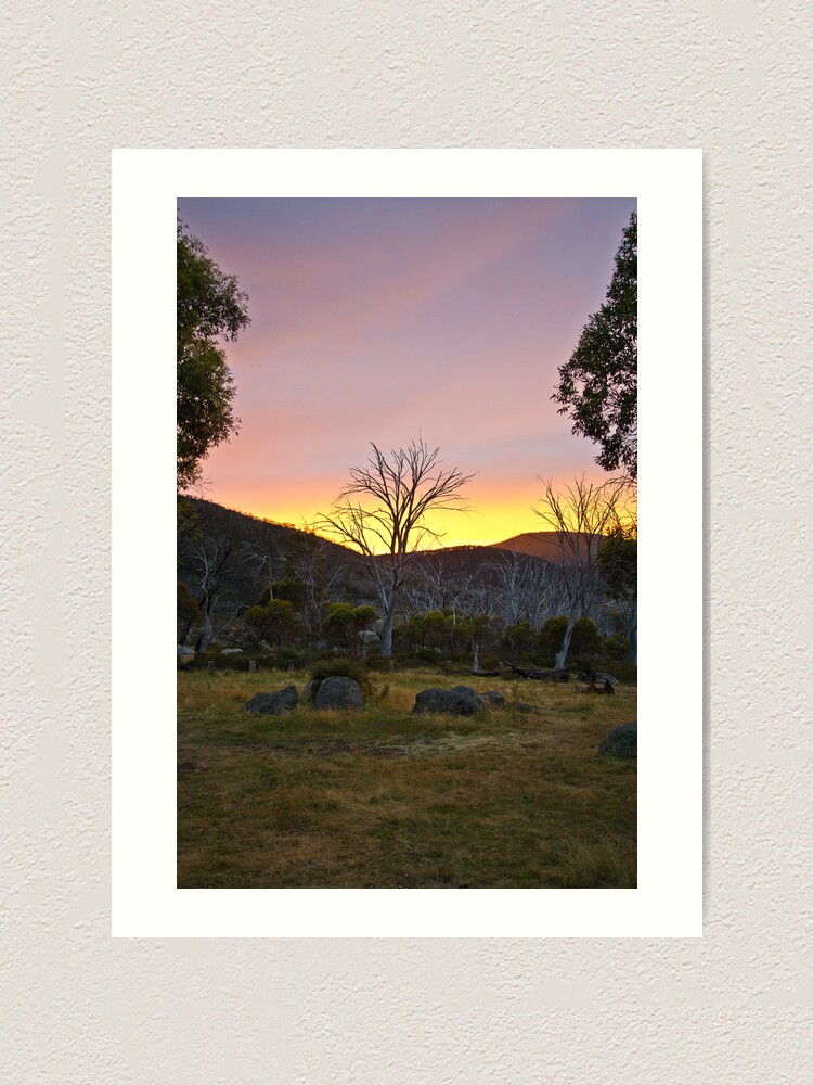 Alternate view of Morning Art Print