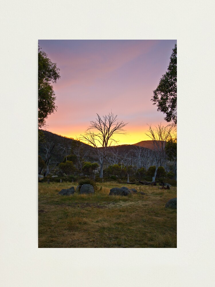 Alternate view of Morning Photographic Print
