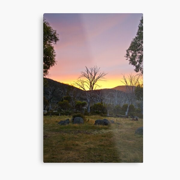 Morning Metal Print