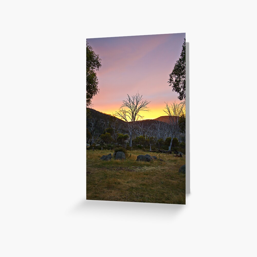 Morning Greeting Card