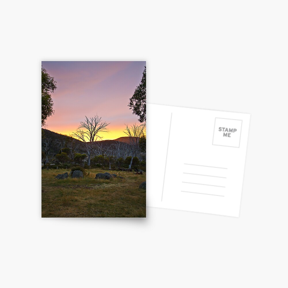 Morning Postcard