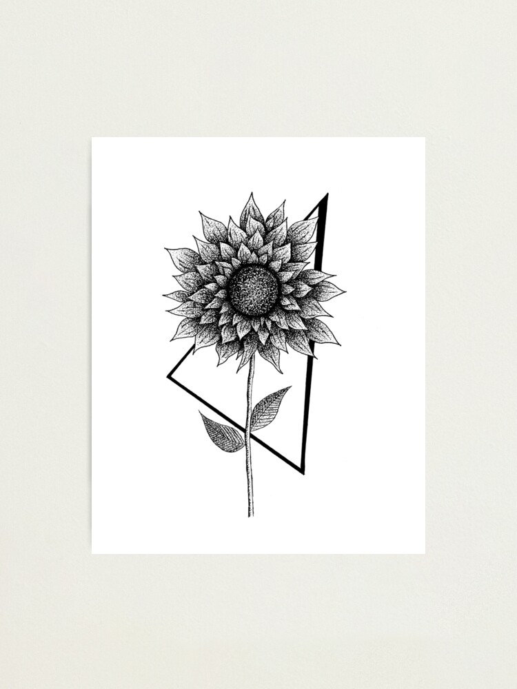 Sunflower, dotwork flower, tattoo design 