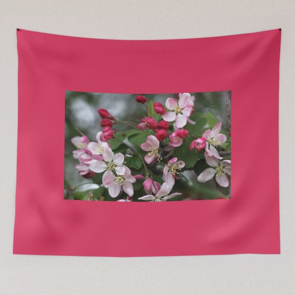 Item preview, Delicate Pink Blossom designed and sold by coffeebean.