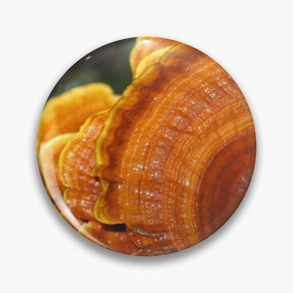 Item preview, Orange Bracket Fungi designed and sold by Marilyn Harris.