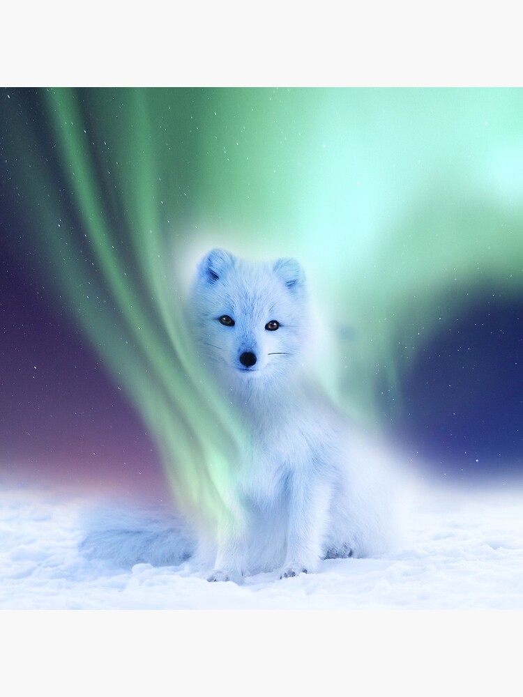 "Arctic fox and Aurora Borealis, Northern Lights" Acrylic Block for