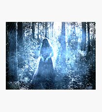 Black Widow Photographic Print