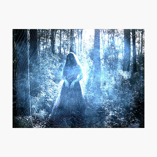 Black Widow Photographic Print