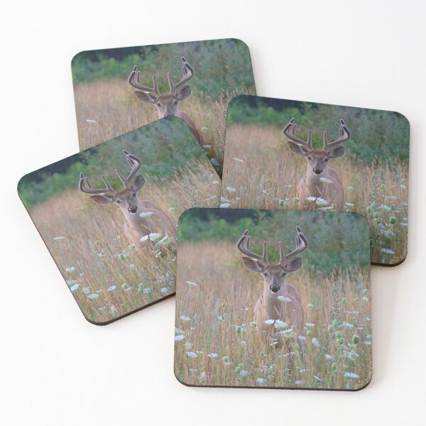 Item preview, Velvet and Lace - White-tailed Buck in Summer designed and sold by James Cumming.