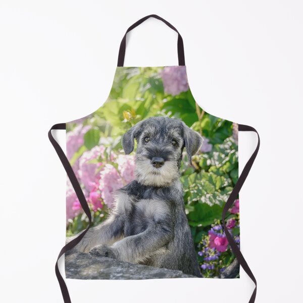 Item preview, Standard Schnauzer Puppy in a Flowering Garden designed and sold by Katho Menden.