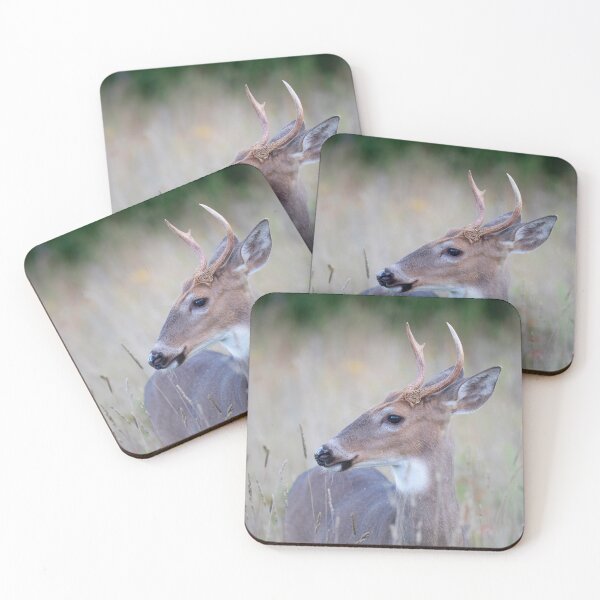 Item preview, White-tailed Buck in Summer designed and sold by James Cumming.