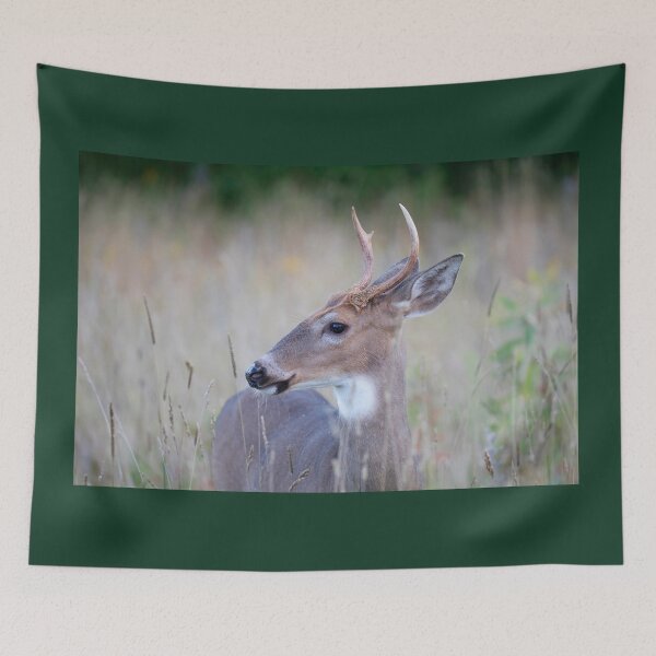 Item preview, White-tailed Buck in Summer designed and sold by James Cumming.