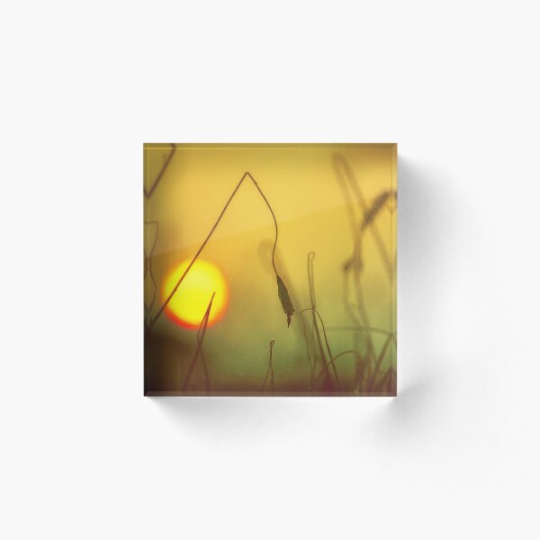 Golden Sunset Acrylic Block