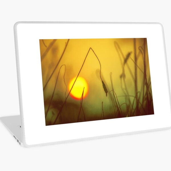 Golden Sunset Laptop Skin