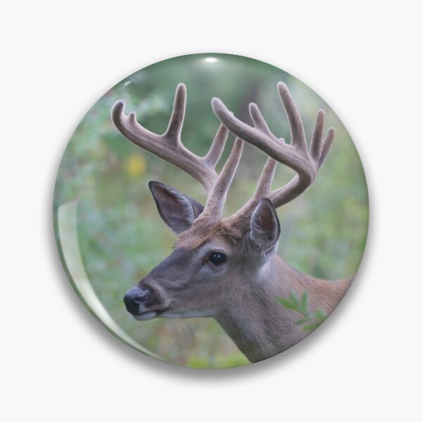 Item preview, White-tailed Buck in Summer designed and sold by James Cumming.