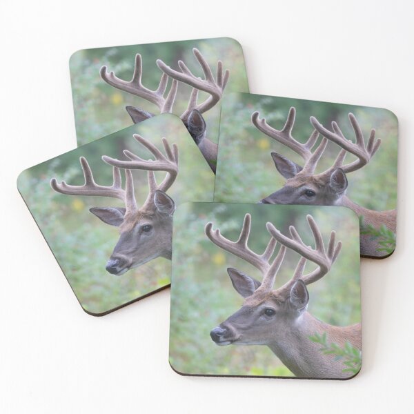 Item preview, White-tailed Buck in Summer designed and sold by James Cumming.