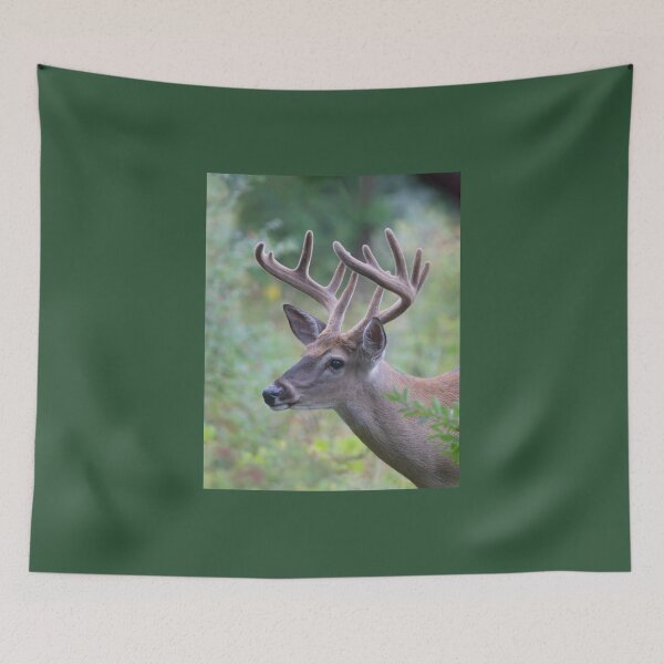 Item preview, White-tailed Buck in Summer designed and sold by James Cumming.