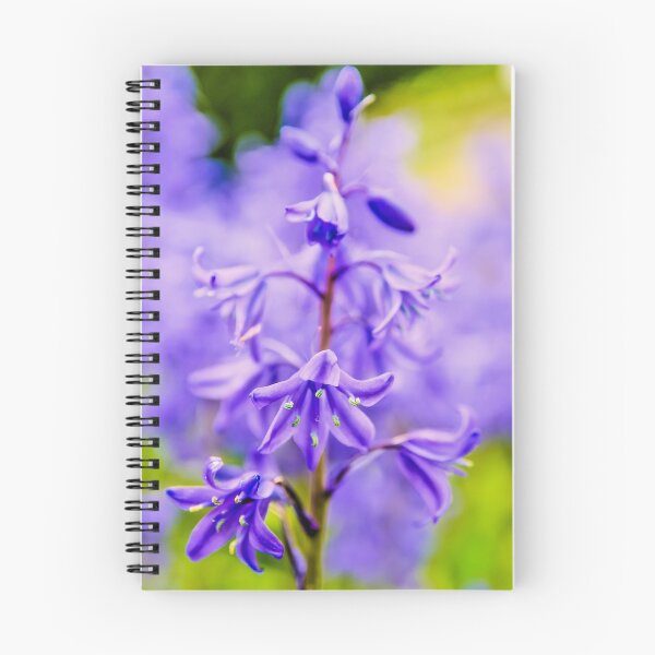 Item preview, Bluebell designed and sold by JEZ22.