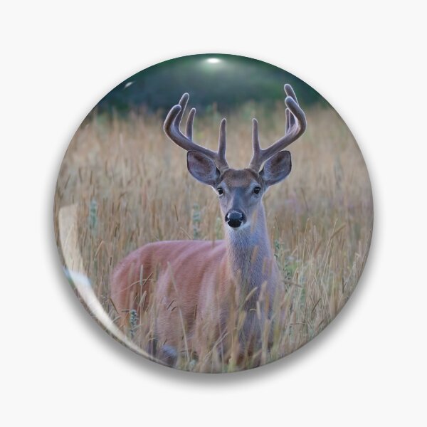 Item preview, White-tailed Buck in Summer designed and sold by James Cumming.