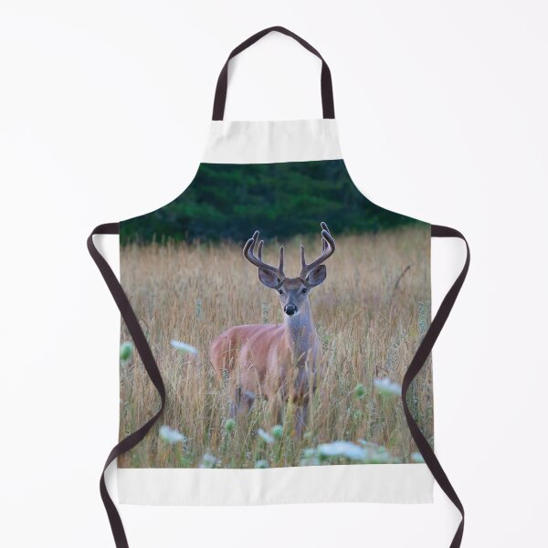 Item preview, White-tailed Buck in Summer designed and sold by James Cumming.