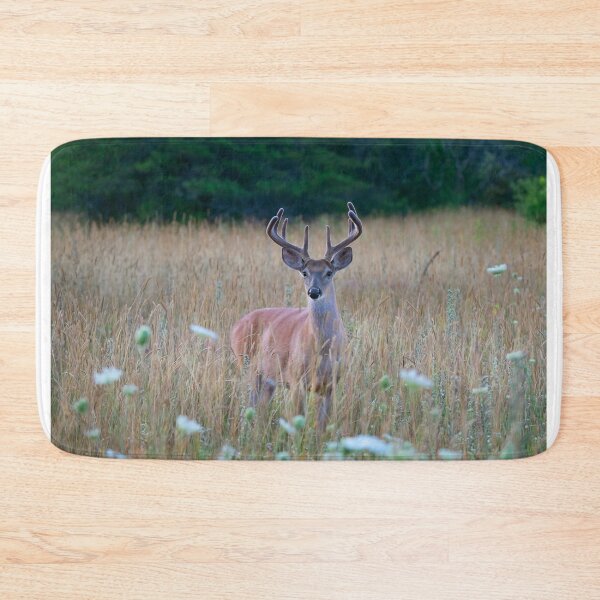Item preview, White-tailed Buck in Summer designed and sold by James Cumming.