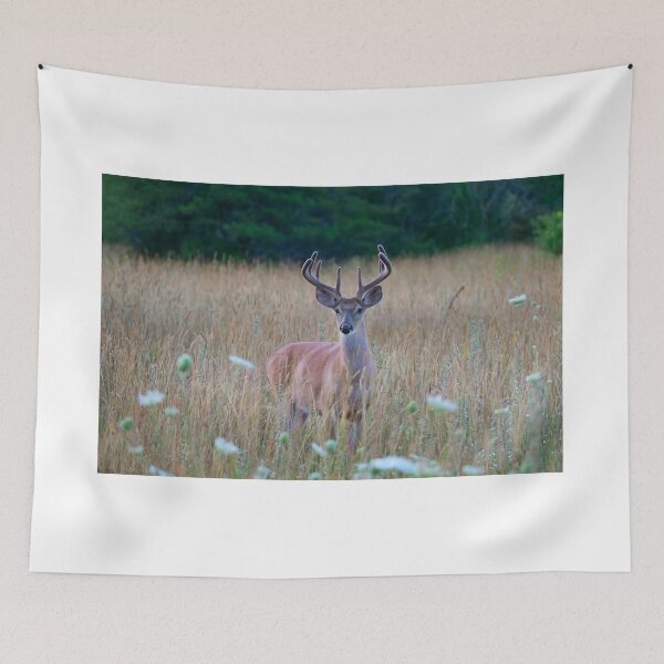 Item preview, White-tailed Buck in Summer designed and sold by James Cumming.