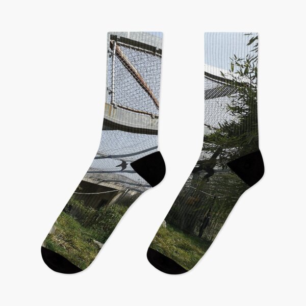Item preview, Parc tête d'or animals nature Lyon France Rhône Alpes designed and sold by Axel20.