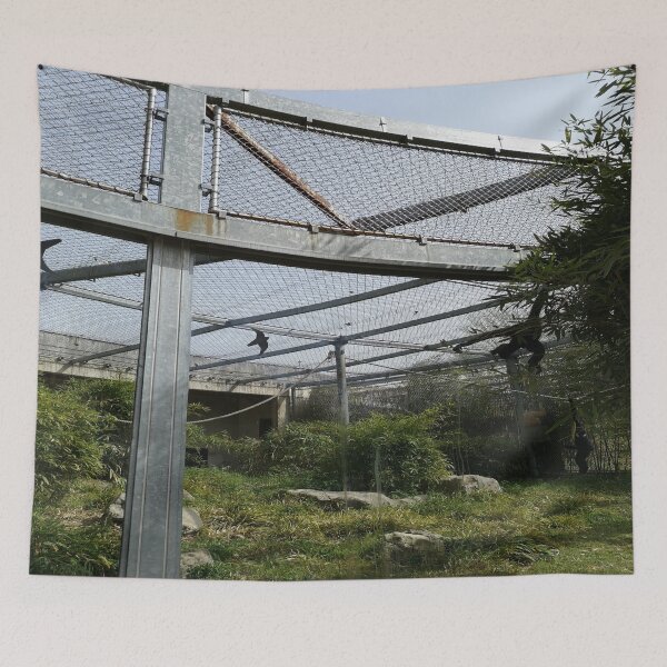 Item preview, Parc tête d'or animals nature Lyon France Rhône Alpes designed and sold by Axel20.