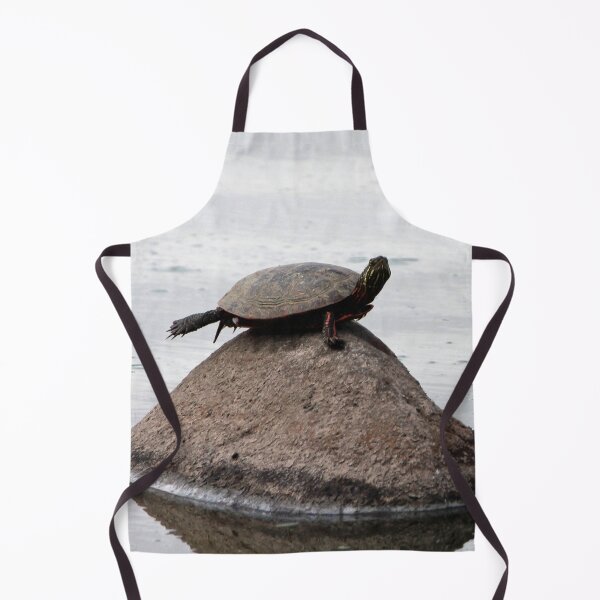 Item preview, Baby Turtle on a Rock designed and sold by Susie Kramer.
