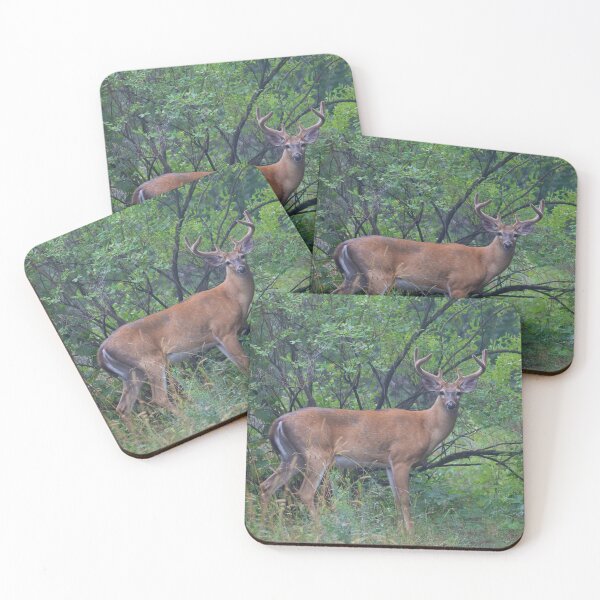 Item preview, White-tailed Buck in Summer designed and sold by James Cumming.