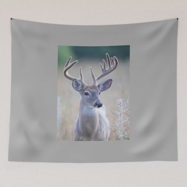 Item preview, White-tailed Buck in Summer designed and sold by James Cumming.
