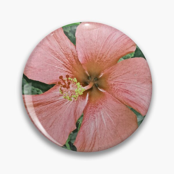 Item preview, Pink and Red Hibiscus Flower Old Photograph designed and sold by ravenmandyshop.