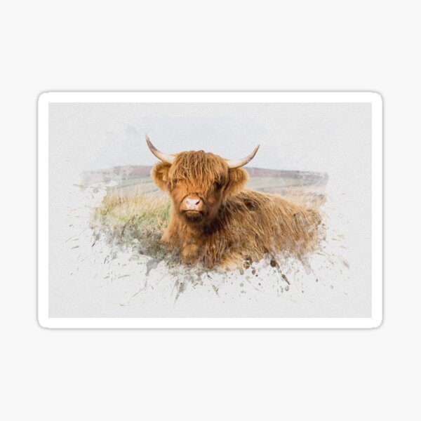 Vista previa del artículo con la obra «Fotografía de acuarela Highland Cow of Baslow.», diseñado y vendido por JStanley19.