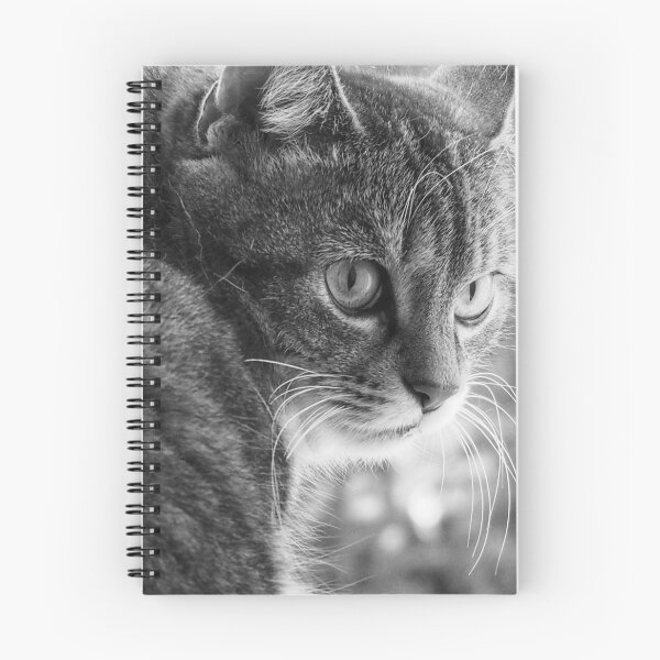 Item preview, Cat designed and sold by Ariunbold Garam-Ayush.